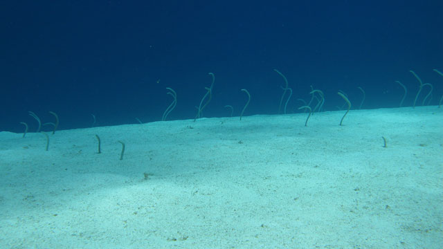 Freediving Spots