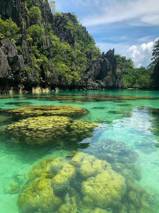 Schnorcheln auf den Philippinen