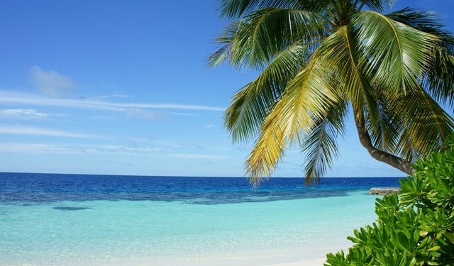 Vom Strand aus Schnorcheln