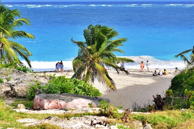 Schnorcheln auf Barbados