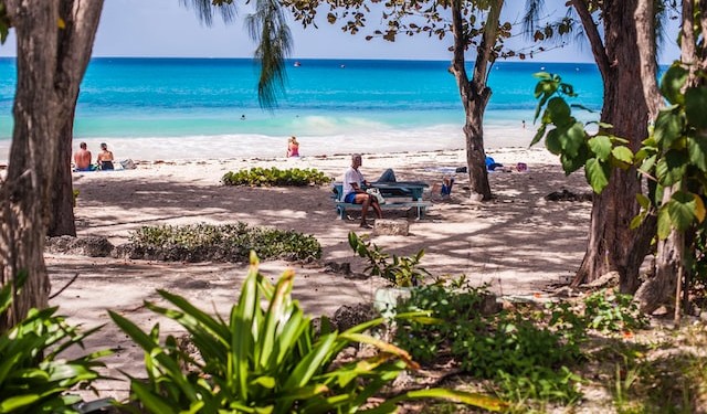 Schnorcheln auf Barbados