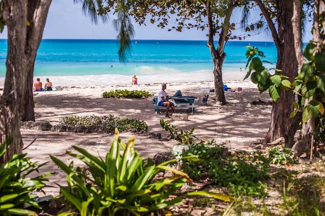 Schnorcheln auf Barbados